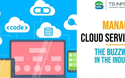 Managed Cloud Services : The Buzz Word in the Industry